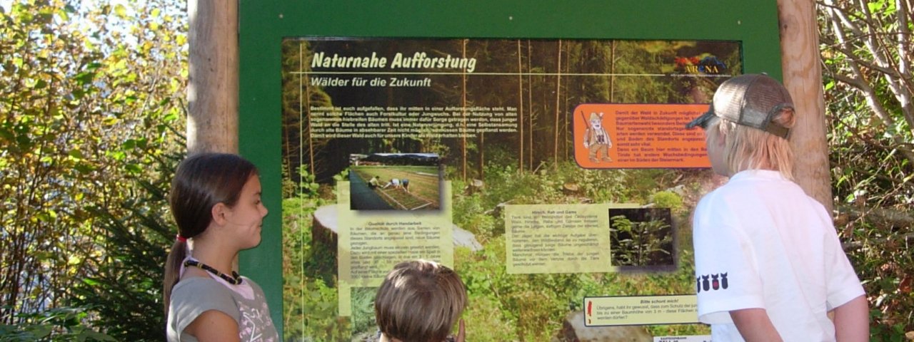 Themed woodland learning trail in Zell am Ziller, © TVB Zillertal Arena
