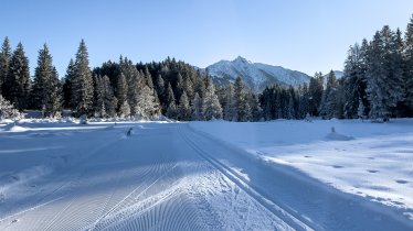Early morning on the C2 trail in Wildmoos, © Olympia Region Seefeld