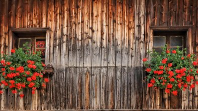 Fenster mit Blumen