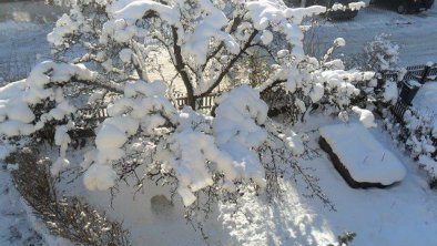 Garten Winter, Iglu unterm Baum