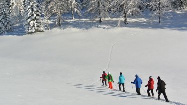 Obergründl Snowshoe in Brandenberg, © Alpbachtal Seenland