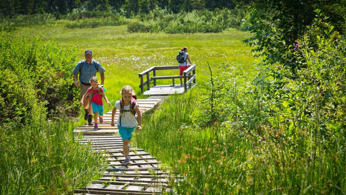 In July and August, children aged five to twelve years can learn all about the moorland environment during a series of fun activities held fevery Friday. The meeting point is 10 am at the tourism information centre in St. Johann in Tirol., © Region St Johann in Tirol/Franz Gerdl