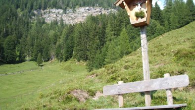 Almen bei St. Johann in Tirol