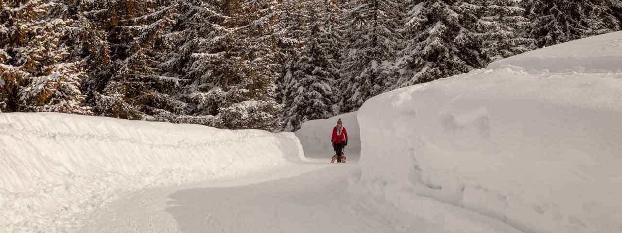 Tobogganing in Tirol, © Tirol Werbung/Markus Jenewein