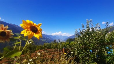 Garten/ Ausblick