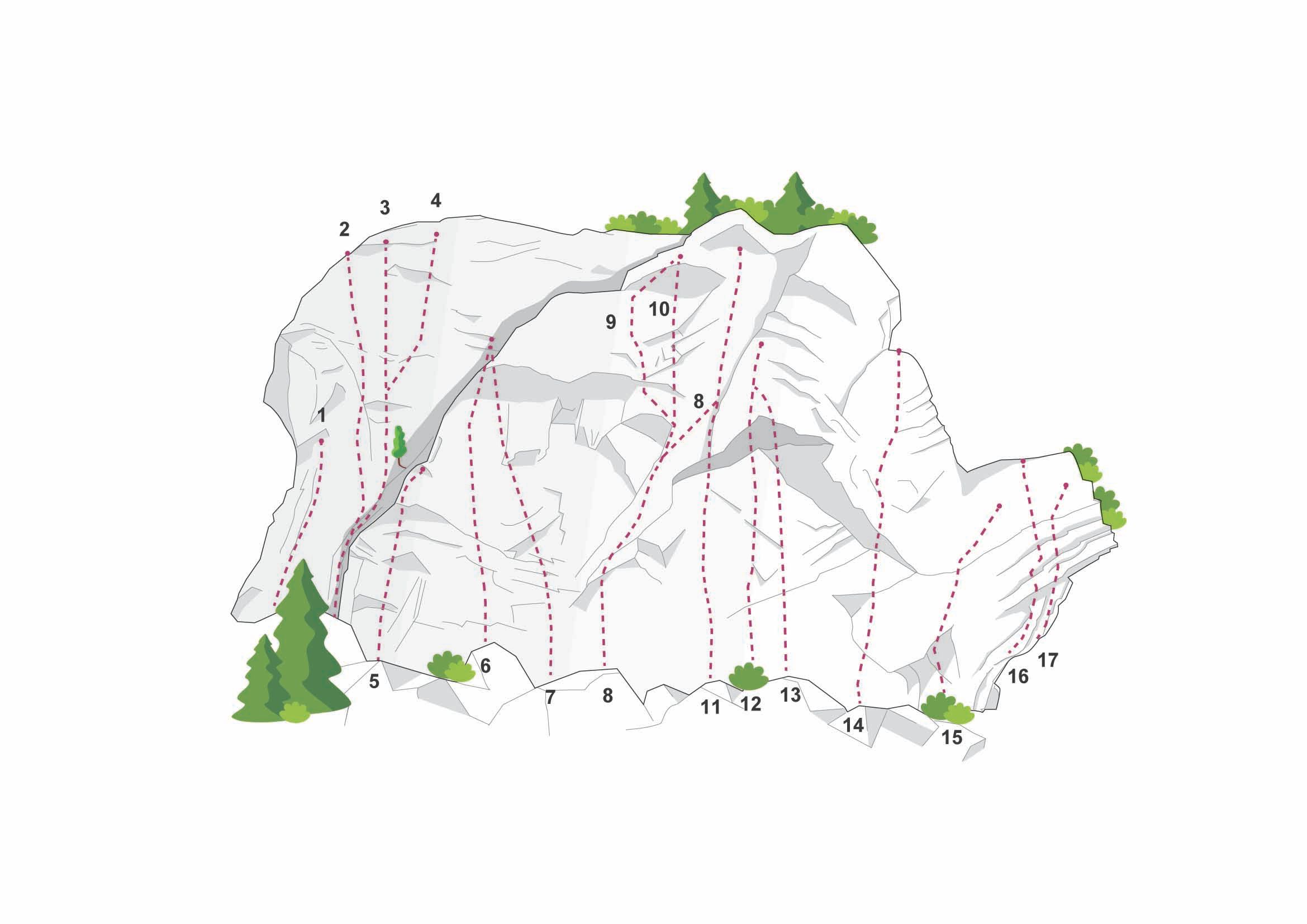 Topography