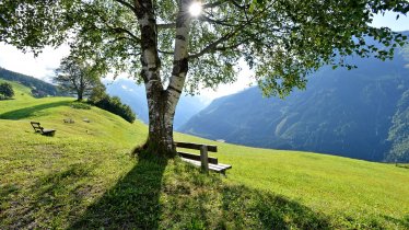 https://images.seekda.net/AT_MAYR_0040/_1300px_865px_Berggasthof-Steinerkogl-Brandberg-Stein-113-Familie-Geisler-Aussicht-Detail1.jpg