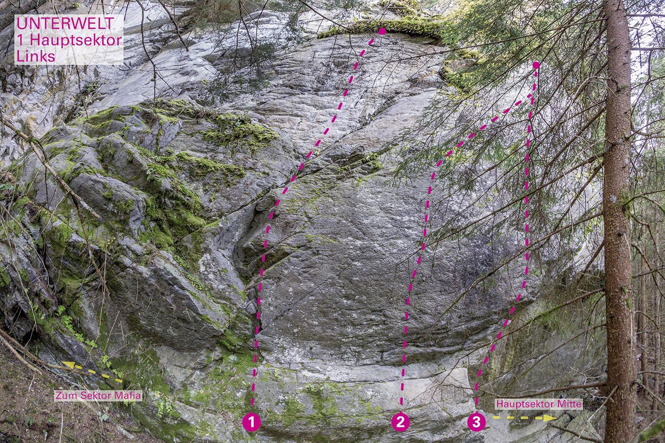 Topography