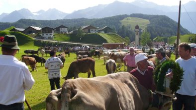 https://images.seekda.net/AT_UAB7-02-23-32/Fotos_Urlaub_am_Bauernhof_029.jpg