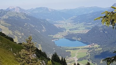 ...Blick vom Hahnenkamm zum Haldensee ...