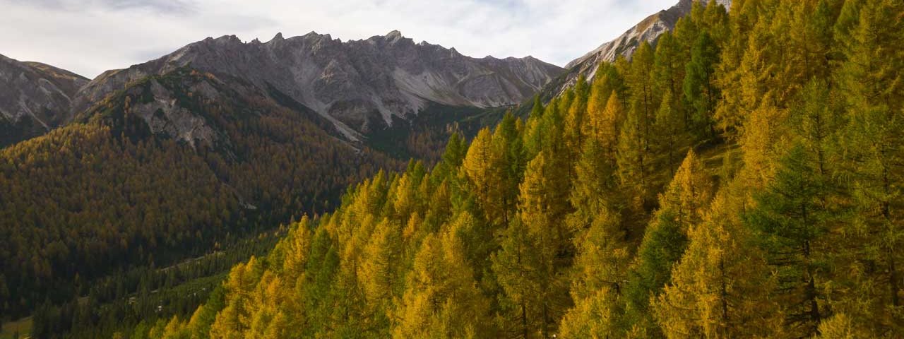 Autumn in Tirol: Eulenwiesen meadows, © Tirol Werbung/Mario Webhofer