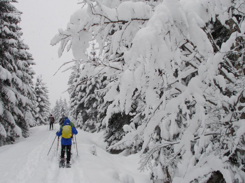 Snowshoeing in Hochfilzen, Pillerseetal Valley. (Photo: Tirol Werbung)