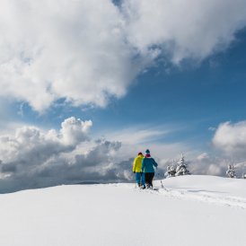 Winter Walking in Wilder Kaiser Region, © TVB Wilder Kaiser