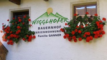 Nigglhofer - Logo