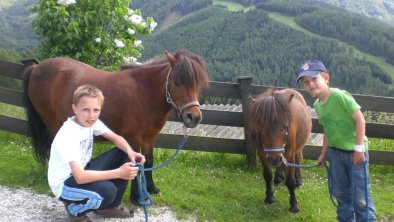 Alpengasthaus Gleinserhof Ponys