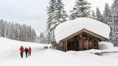 Winterwandern rund um Seefeld, © Region Seefeld, Johannes Geyer
