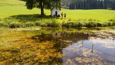 Kaiserwinkl_Sommerurlaub_MoorgebietSchwemm (3)