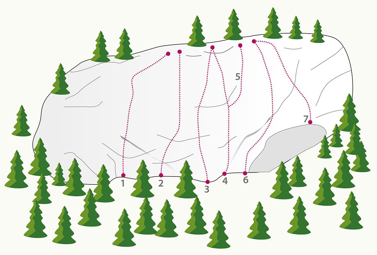 Topography