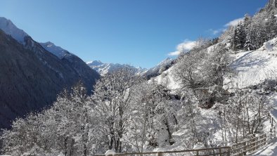 Ausblick_Winter