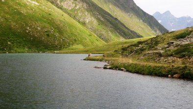 Sommerlandschaft