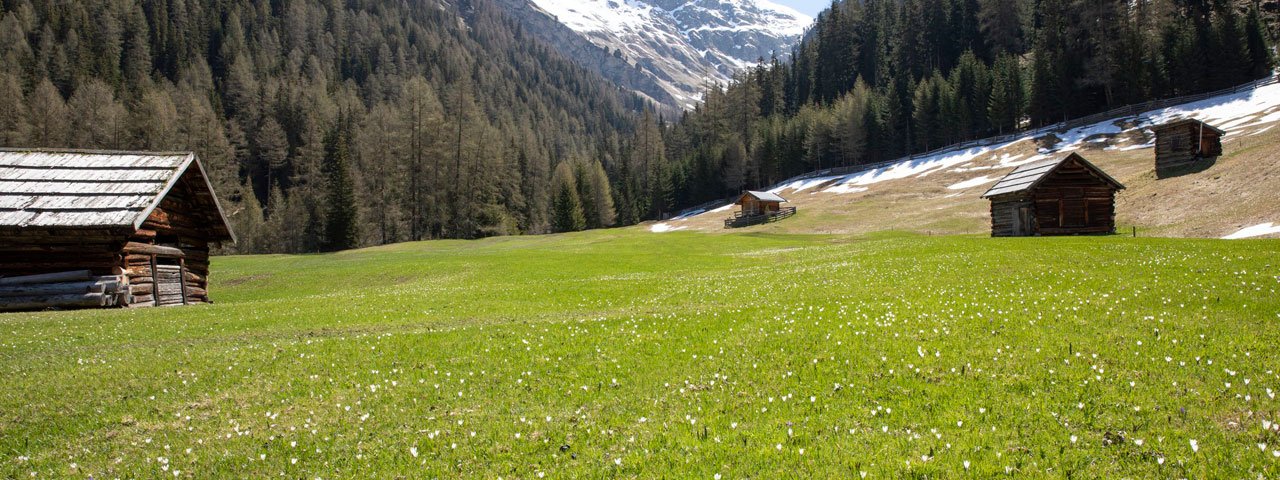 Spring in the Pfundser Tschey valley, © Tirol Werbung/Marion Webhofer
