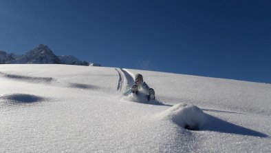 Zipflbob im Pulverschnee