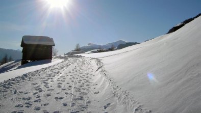 Winterwanderung, © Haus Monika Ladis