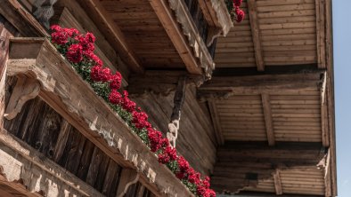 Sommer im Riedl, © Florian Egger