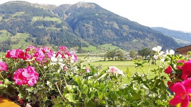 Aussicht vom Balkon der Ferienwohnung 3