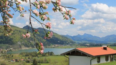 Seeausblick, © Johann Hörfarter