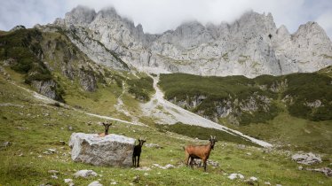 © Tirol Werbung/Jens Schwarz