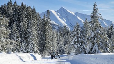 Cross-country skiing in Seefeld, © Tirol Werbung / Aitzetmüller Johannes