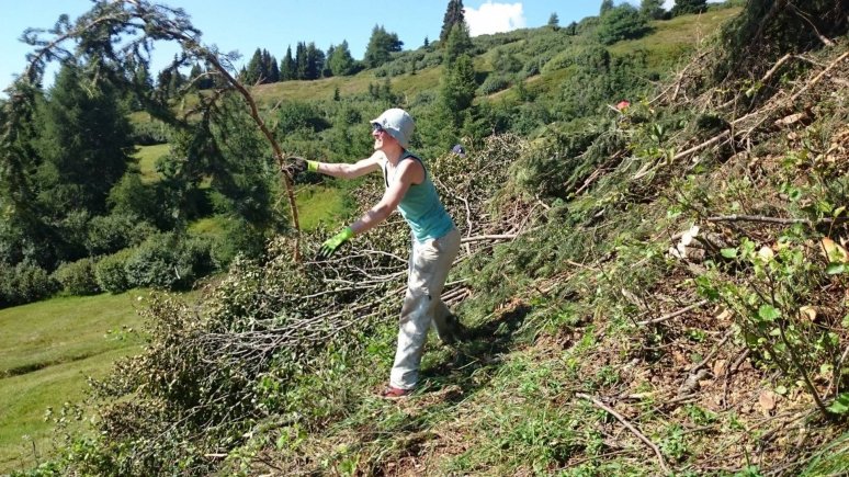 Clearing the mountain pastures in the Gschnitztal Valley, © TVB Wipptal