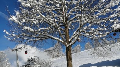 Winter im Brixental
