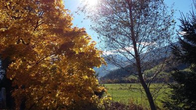 Herbst in Fügen