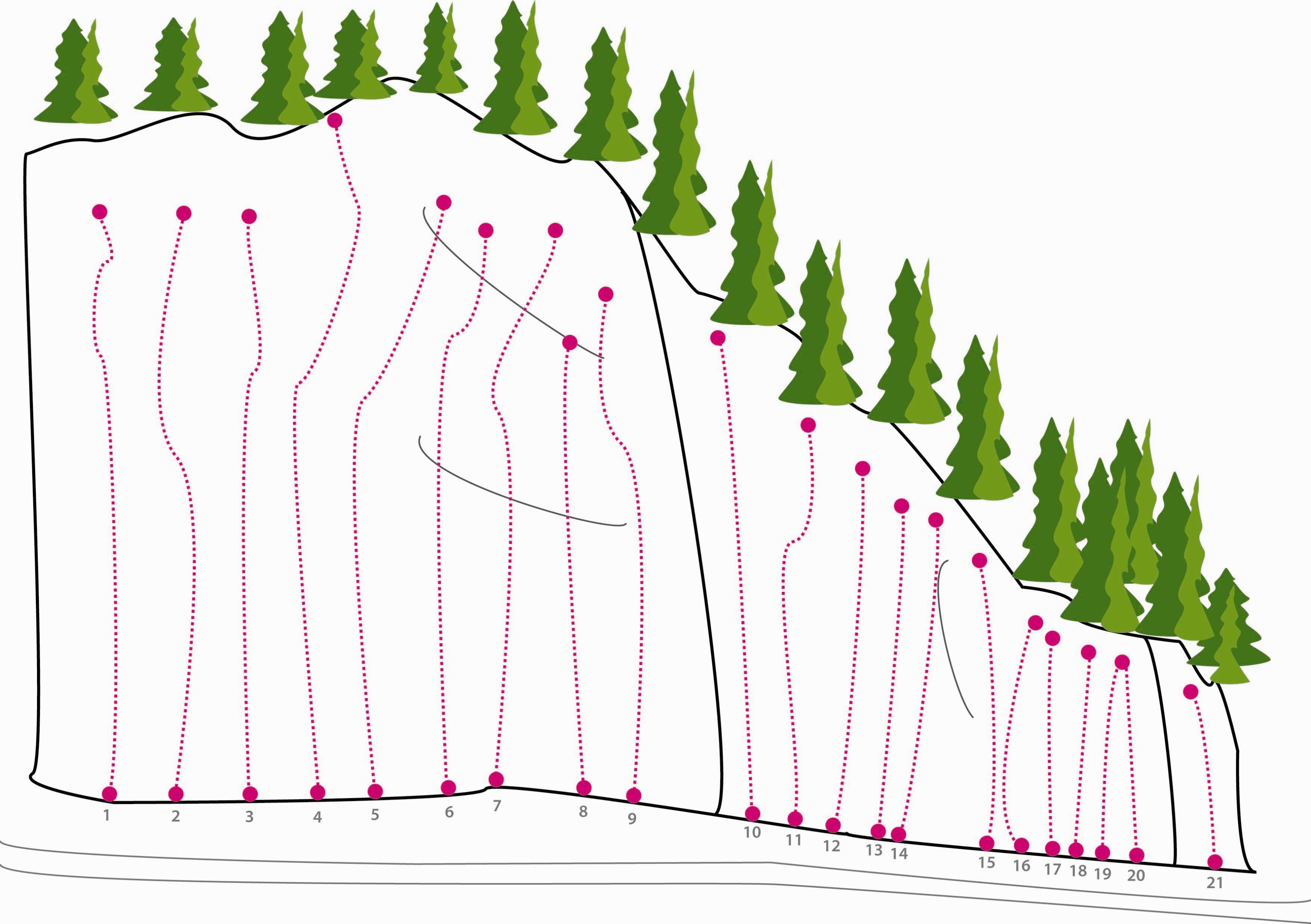 Topography