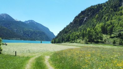 Ferienwohnung Hinterwinkl - Sommer