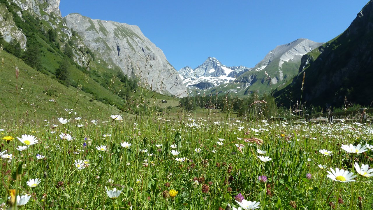 Looking towards the Großglockner from the Lucknerhaus hut, © Alpengasthof Lucknerhaus