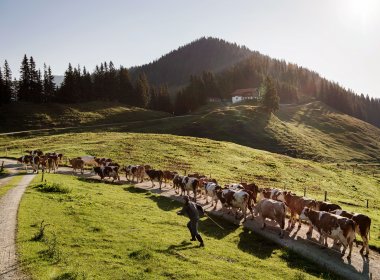 The Burgeralm hut., © Tirol Werbung, Frank Bauer