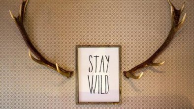 staywild-web