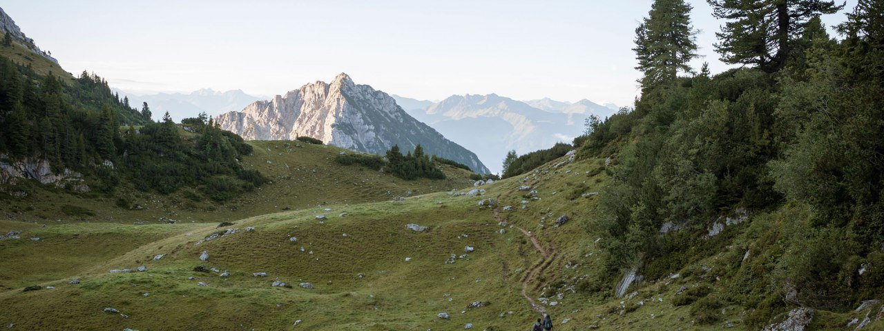 Hiking in the Brandenberg Alps, © Tirol Werbung/Jens Schwarz