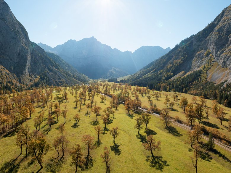 The Gro&szlig;er Ahornboden with its thousands of colourful chestnut trees is a popular destination in autumn. Photo: Tirol Werbung