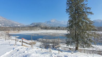 Winter Panorama -1