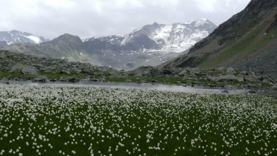 https://images.seekda.net/AT_UAB7-06-17-05/kaunertal.jpg