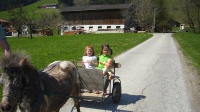 Eadahof Hippach - Kutschenfahrt für Kinder