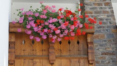 Blumen am Eingangsbalkon