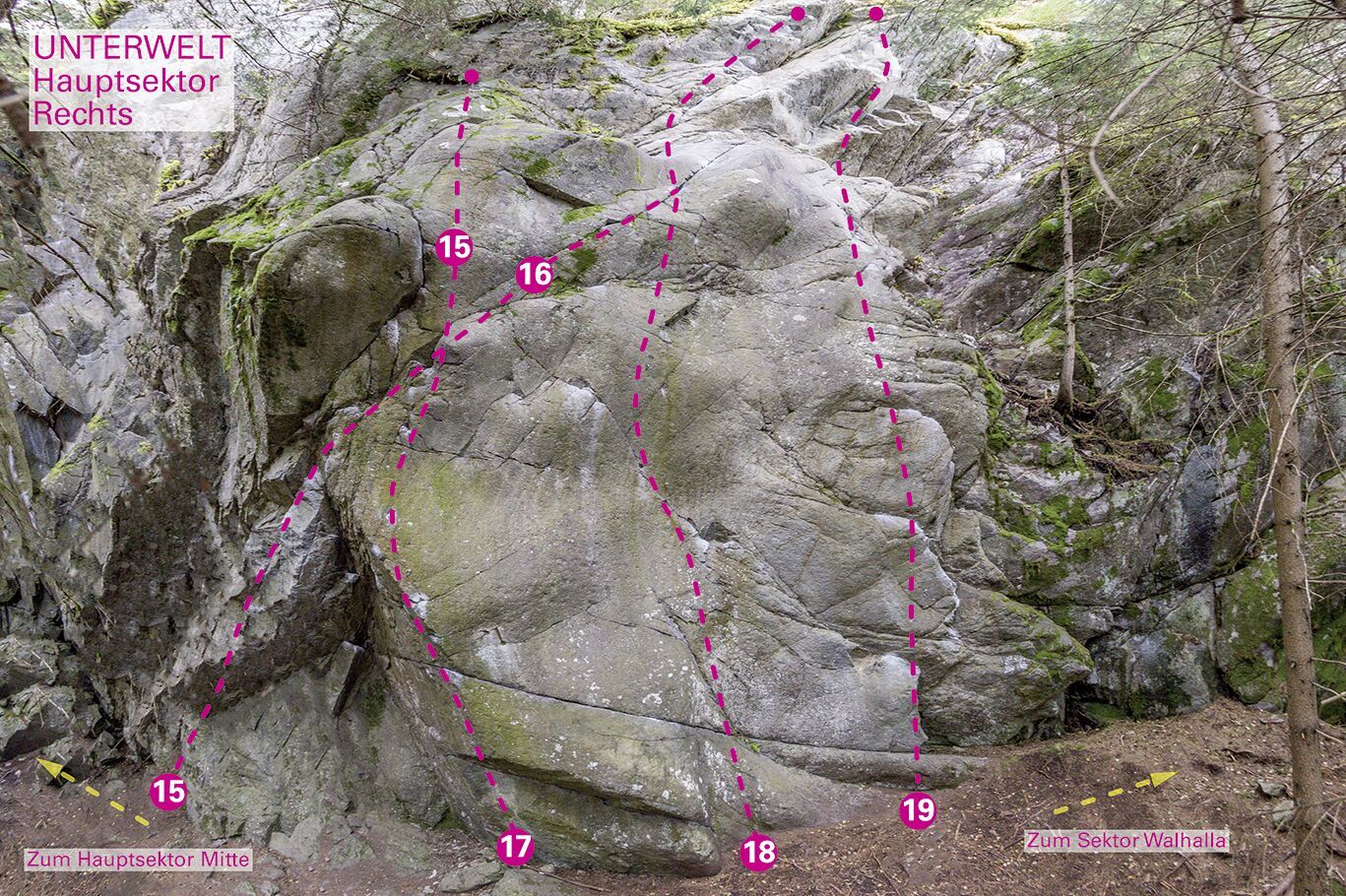 Topography