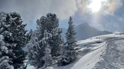 auf dem Weg zur Heidealm mit Blick zum Nederkogel