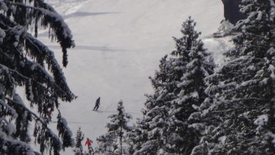 Blick auf die Talabfahrt hinter dem Apart