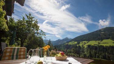 Ausblick in die Alpbachtaler Bergwelt